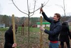 Olimpiečiai sodino medelius prie renovuoto "Vingio" stadiono.