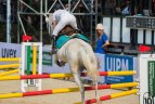 Pasaulio šiuolaikinės penkiakovės čempionate vyko moterų varžybų finalai