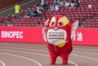 2015 08 23. Pasaulio lengvosios atletikos čempionatas Pekine. Vyrų 20 km ėjimas.