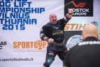 Vilniaus miesto sporto festivalis.