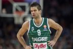 2016 01 22. Eurolyga.„Top 16“ etapas. "Žalgiris" - "Olympiakos".