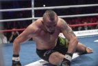 „KOK World Series 2016“ Vilniuje.