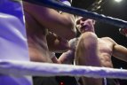 „KOK World Series 2016“ Vilniuje.