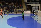 Lietuva – Belgija 33:28.
