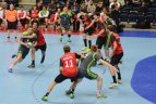 Lietuva – Belgija 33:28.