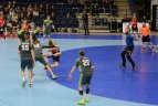Lietuva – Belgija 33:28.