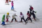 Kalnų slidinėjimo varžybos Druskininkuose.