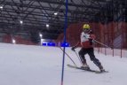 Kalnų slidinėjimo varžybos Druskininkuose.