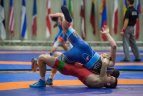 Pasaulio kariškių čempionatas.