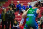 Pasaulio kariškių čempionatas.