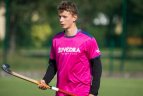 Lietuvos vyrų žolės riedulio pirmenybės