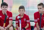 Lietuvos vyrų žolės riedulio pirmenybės