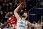 2017-01-14. LKL čempionatas. Utenos "Juventus" - Kauno „Žalgiris“ 79:81.