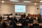 Stadiono Šeškinėje projekto pasiūlymas