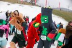 Lietuvos mokyklų žaidynių finalai.