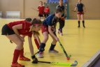 Lietuvos moterų žolės riedulio uždarųjų patalpų čempionatas