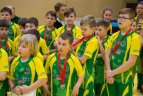Vaikų žolės riedulio lygos U12 finalinės varžybų momentas