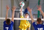 Čempionų titulus apgynė ŠU ir VDU tinklininkai