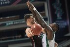 Vilniaus „Rytas“ – Malagos „Unicaja“ 80:72.