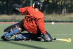 Širvintų „Baltic Champs-Ježvitas“ - Vilniaus „Žuvėdrai-Taurui-CTLF“ - 4:2