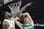 Eurolyga. Kauno „Žalgiris“ - Atėnų „Panathinaikos“