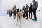 „LTeam olimpinis žiemos festivalis 2019“. Antra diena.