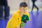Lietuvos vyrų žolės riedulio uždarosiose patalpose čempionatas