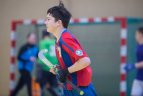 Lietuvos vyrų žolės riedulio uždarosiose patalpose čempionatas