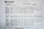 Vilniaus „Rytas“ - Valensijos „Valencia Basket“ - 56:71 (14:20, 25:13, 9:24, 10:14)