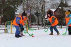 "Sniego dieną" minėjo ledo rituliu