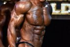 IFBB pasaulio vyrų kultūrizmo čempionatas .