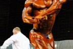37-as Arimex Lietuvos kultūrizmo, fitneso ir bikinio čempionatas