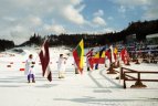 Nagano olimpinės žaidynės.