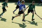 Žolės riedulio festivalis „Žolės riedulys – sportas visiems“.