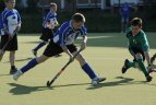 Žolės riedulio festivalis „Žolės riedulys – sportas visiems“.