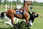 2012 metų sporto akimirkos.