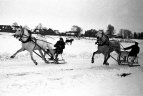 Žirgų lentynės ant Sartų ežero ledo. 1956 metai.