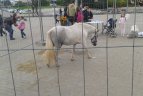 Sporto mugė.