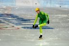 Paroda "Devyniolika lietuviškų akimirkų Sočyje".