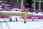 2014 m. Sočio olimpinės žaidynės.