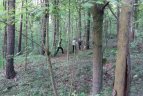 Vilniaus Vingio parke atidaryta orientacinio sporto trasa