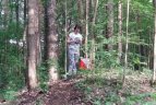 Vilniaus Vingio parke atidaryta orientacinio sporto trasa