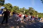 Festivalis Palangoje.