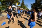 Festivalis Palangoje.