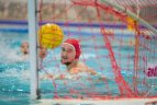 LSD „Žalgiris“ taurė.
