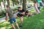 Festivalio akimirka