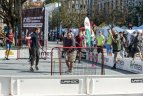 Festivalio akimirka
