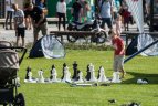 Festivalio akimirka