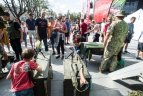 Festivalio akimirka