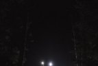 Naktinis bėgimas Vilniaus miškais
